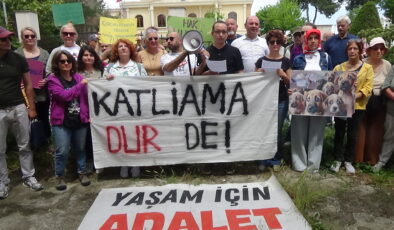 Sokak hayvanlarının toplatılmasına tepki