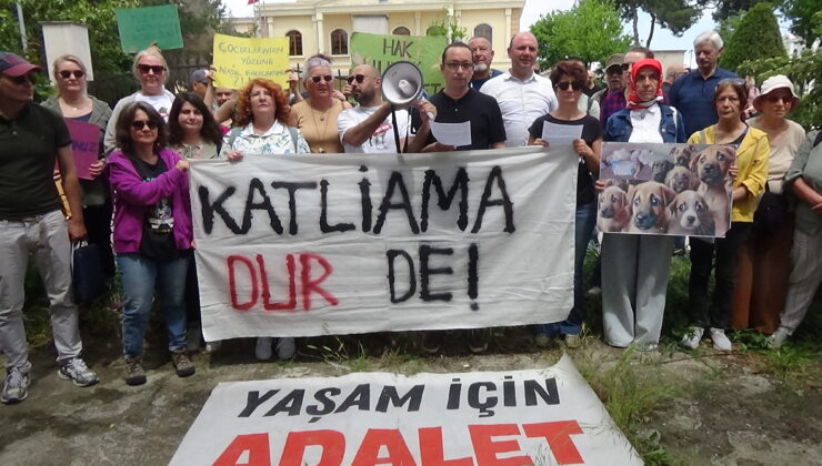 Sokak hayvanlarının toplatılmasına tepki