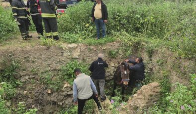 İtfaiye tarafından kurtarıldı