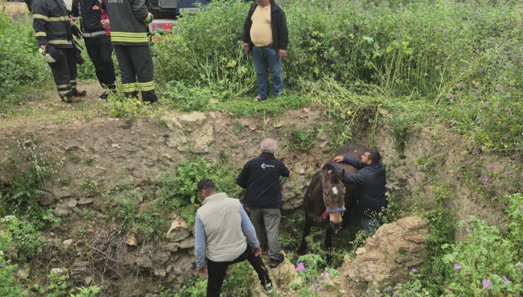 İtfaiye tarafından kurtarıldı