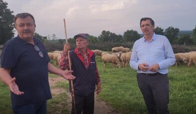 Besicilerin derdi büyük