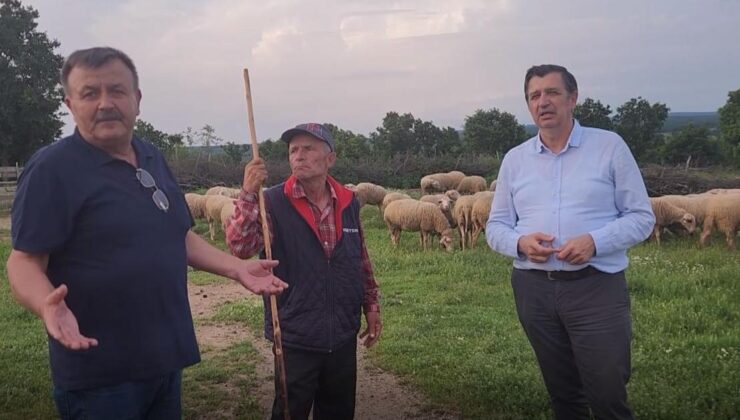 Besicilerin derdi büyük
