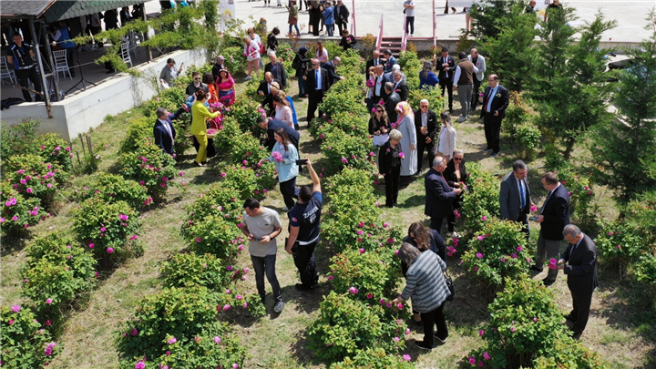 Edirne gülüne muhteşem şenlik
