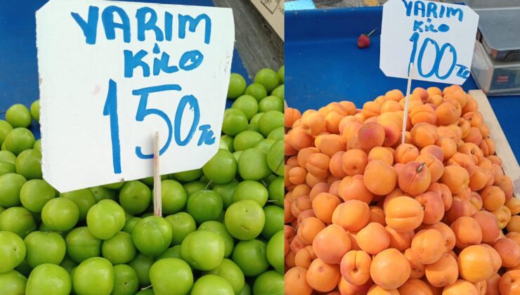 Erik ve kayısı cep yakıyor