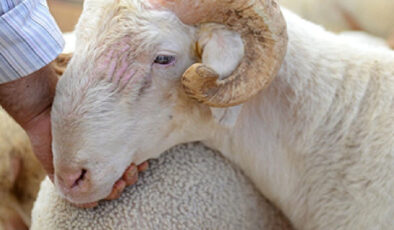 Gençlere “İlk Kurbanım İlk İyiliğim” kampanyası