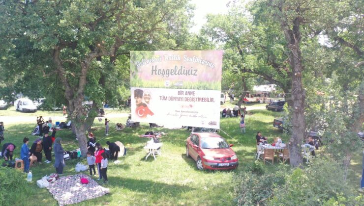 Dallık Şenlikleri yapılacak