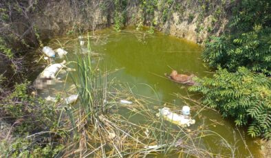 Keşan’da vahşet!
