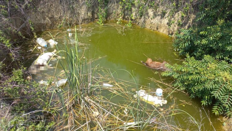 Keşan’da vahşet!