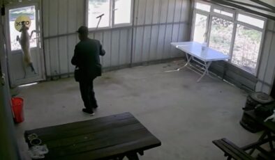 Köpeği bastonla dövmüştü