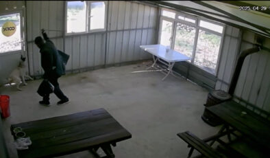 Köpeği bastonla dövdü