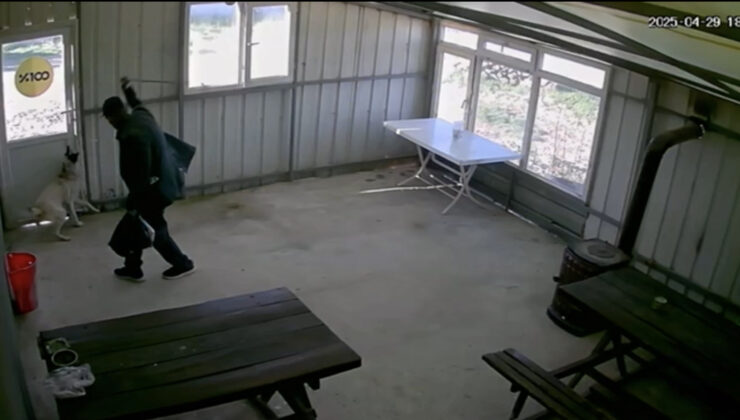 Köpeği bastonla dövdü