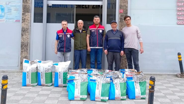 Kuru fasulye üretimi artacak
