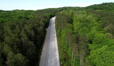 Ormana giriş yasaklandı