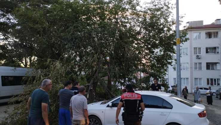 Otomobilin üzerine düştü