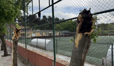 Kuvvetli rüzgar ağaçları yıktı