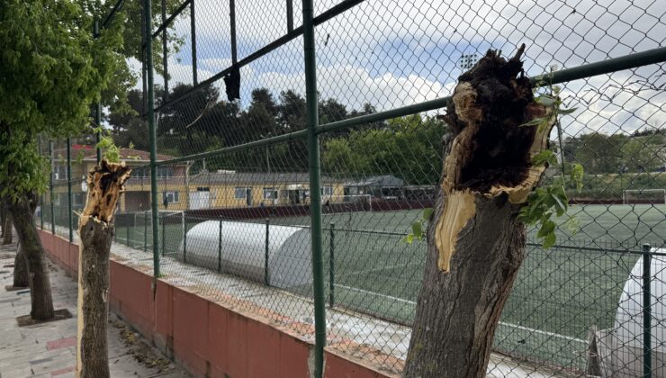 Kuvvetli rüzgar ağaçları yıktı