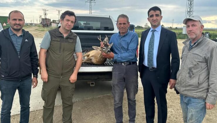 Su kanalına düştü