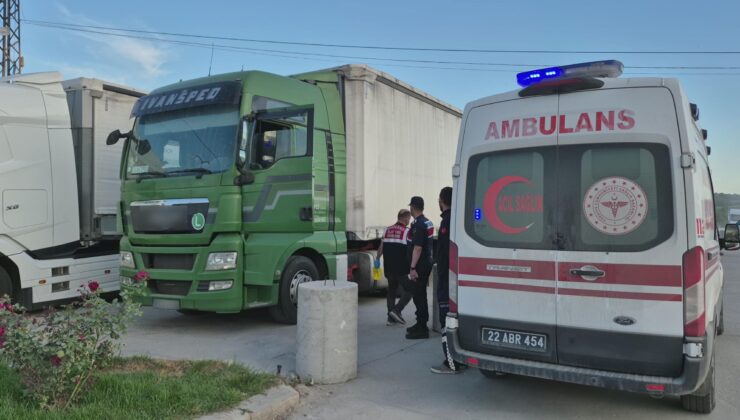 TIR sürücüsü aracında ölü bulundu