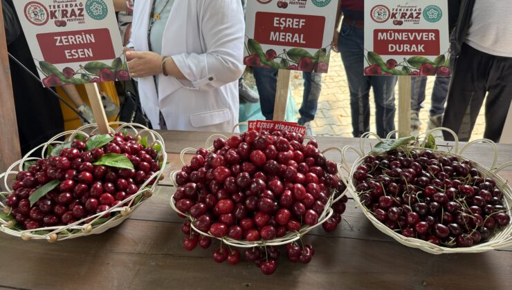 En iyi kiraz yarışması yapıldı