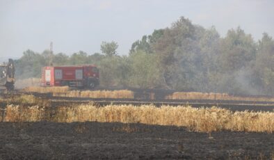 Buğday tarlası kül oldu