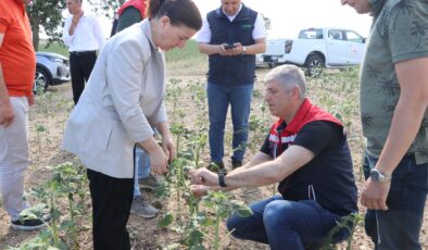 Dolunun hasarı büyük