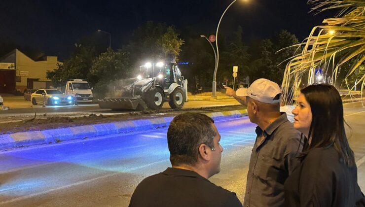 Edirne’ye kurakçıl peyzaj