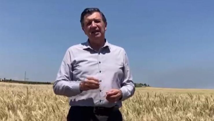 Buğday fiyatına tepki