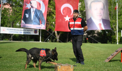 ‘İmge’ emekli oldu