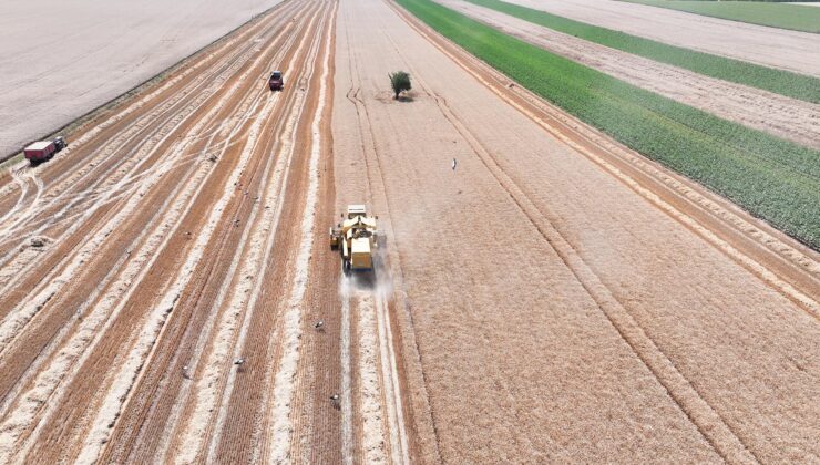 Lalapaşa İlçesine hasat kısıtlaması