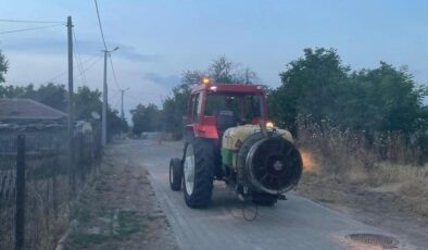 Lalapaşa’da sivrisinekle mücadele