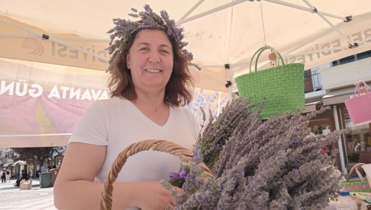 İklim krizi lavantayı da vurdu