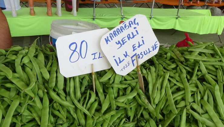 Karaağaç fasulyesi üreticiyi üzdü