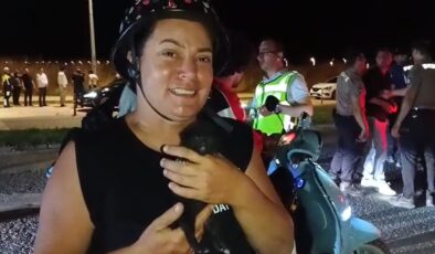 Motosikletin sepetinden yavru kedi çıktı