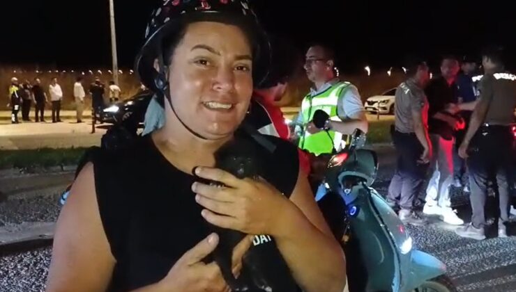 Motosikletin sepetinden yavru kedi çıktı