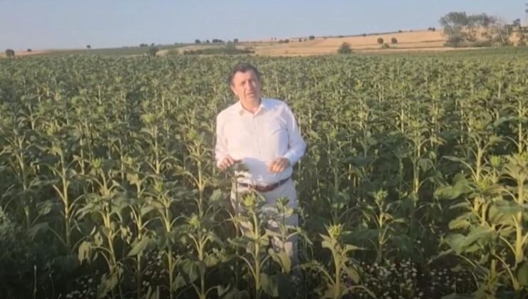 Üretici 2024 yılı desteğini bekliyor