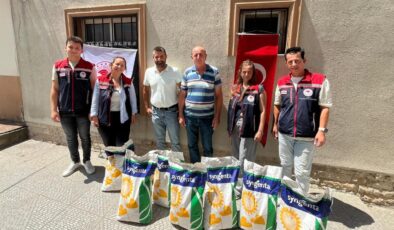 Üreticilere ayçiçeği tohumu