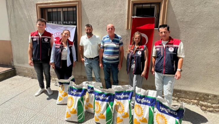 Üreticilere ayçiçeği tohumu