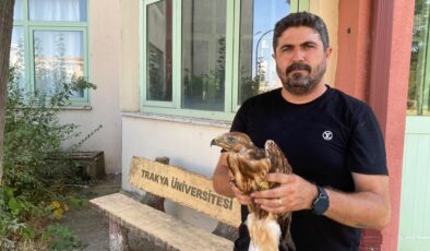 Aşırı sıcaklar kuşları da bitkin düşürdü
