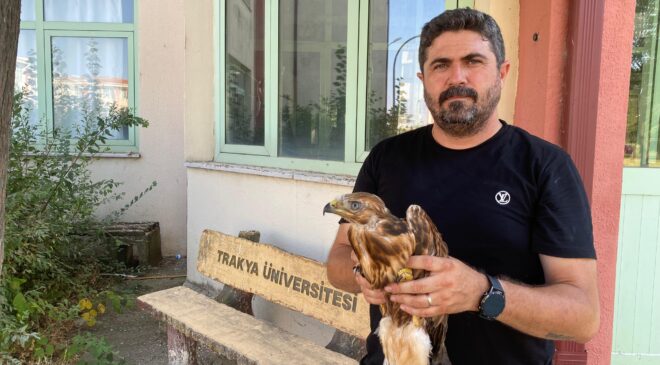 Aşırı sıcaklar kuşları da bitkin düşürdü