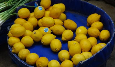 Limonda tane dönemi