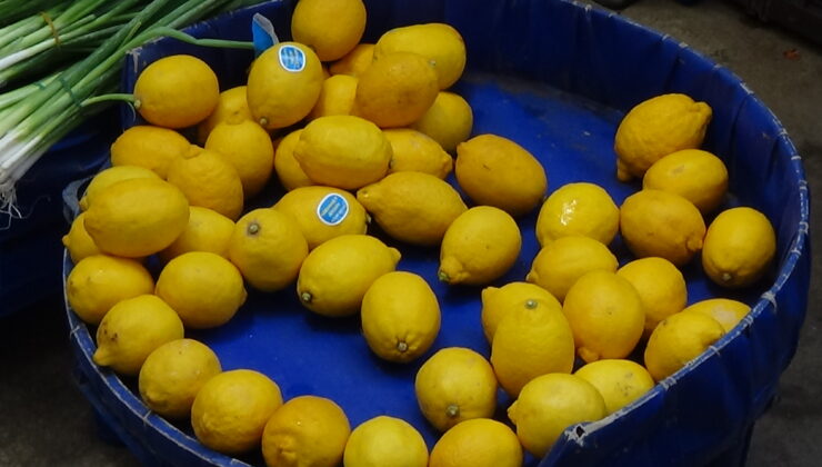 Limonda tane dönemi