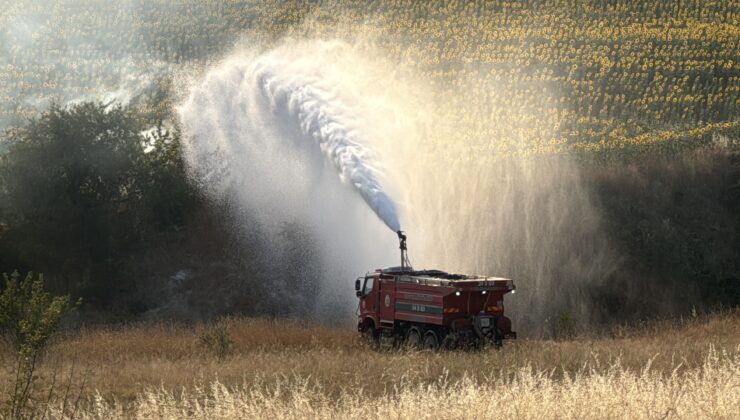 Buğday tarlası cayır cayır yandı