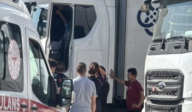 TIR sürücüsü aracında ölü bulundu