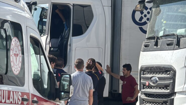 TIR sürücüsü aracında ölü bulundu