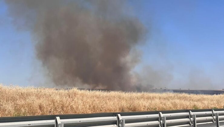 Edirne-Havsa arasında büyük yangın!