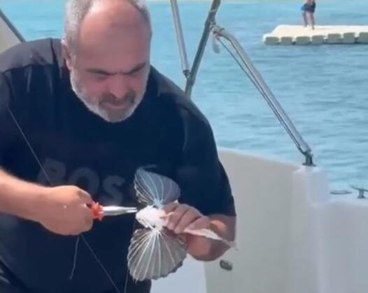 Altunhan kırlangıç balığı yakaladı