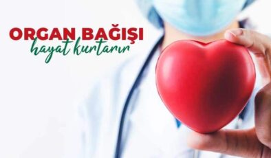 Artık e-Devlet’ten organ bağışı yapılabilecek