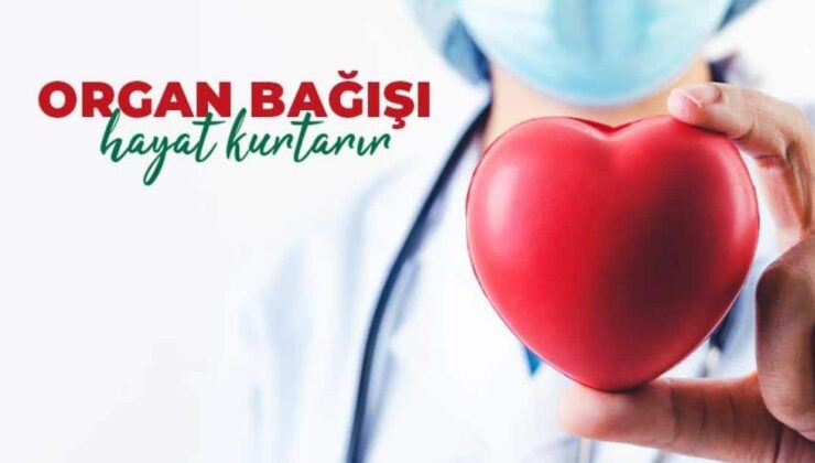 Artık e-Devlet’ten organ bağışı yapılabilecek