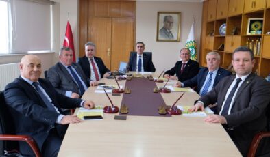 Ayçiçeğinde tarife kontenjanı sevinci