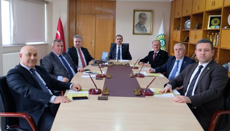 Ayçiçeğinde tarife kontenjanı sevinci